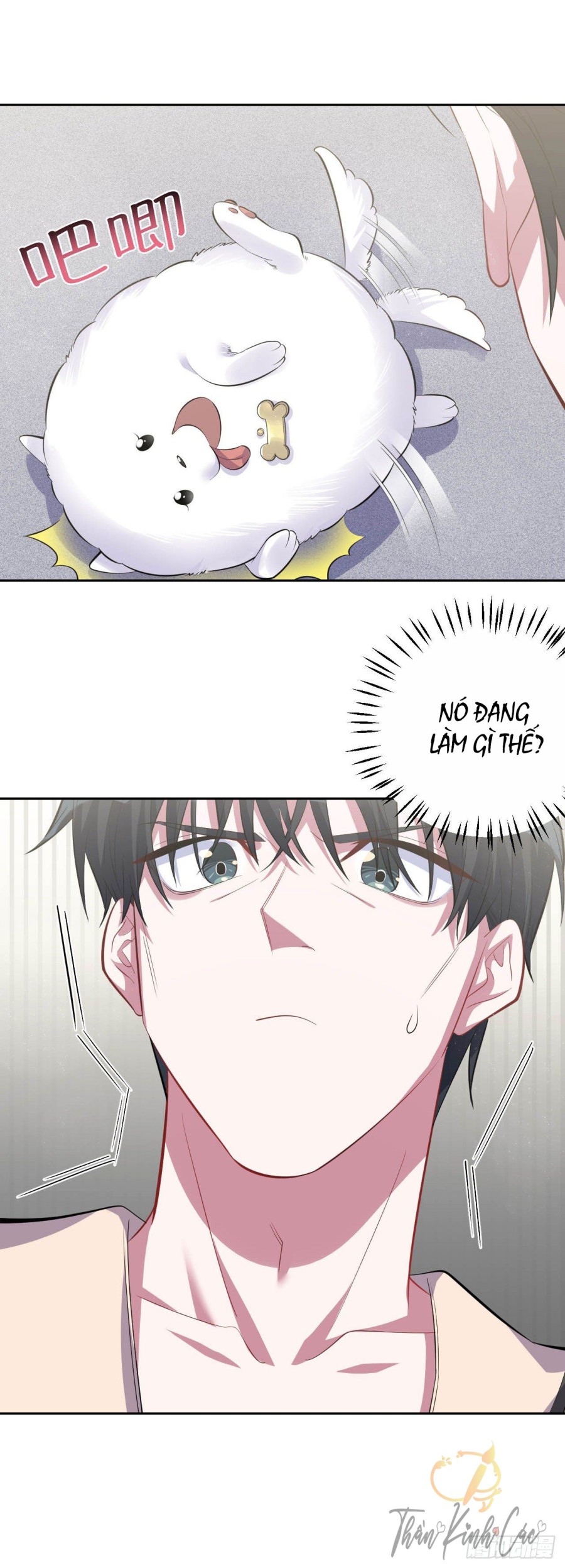 nhạc phụ đại nhân là bà xã chapter 27 15