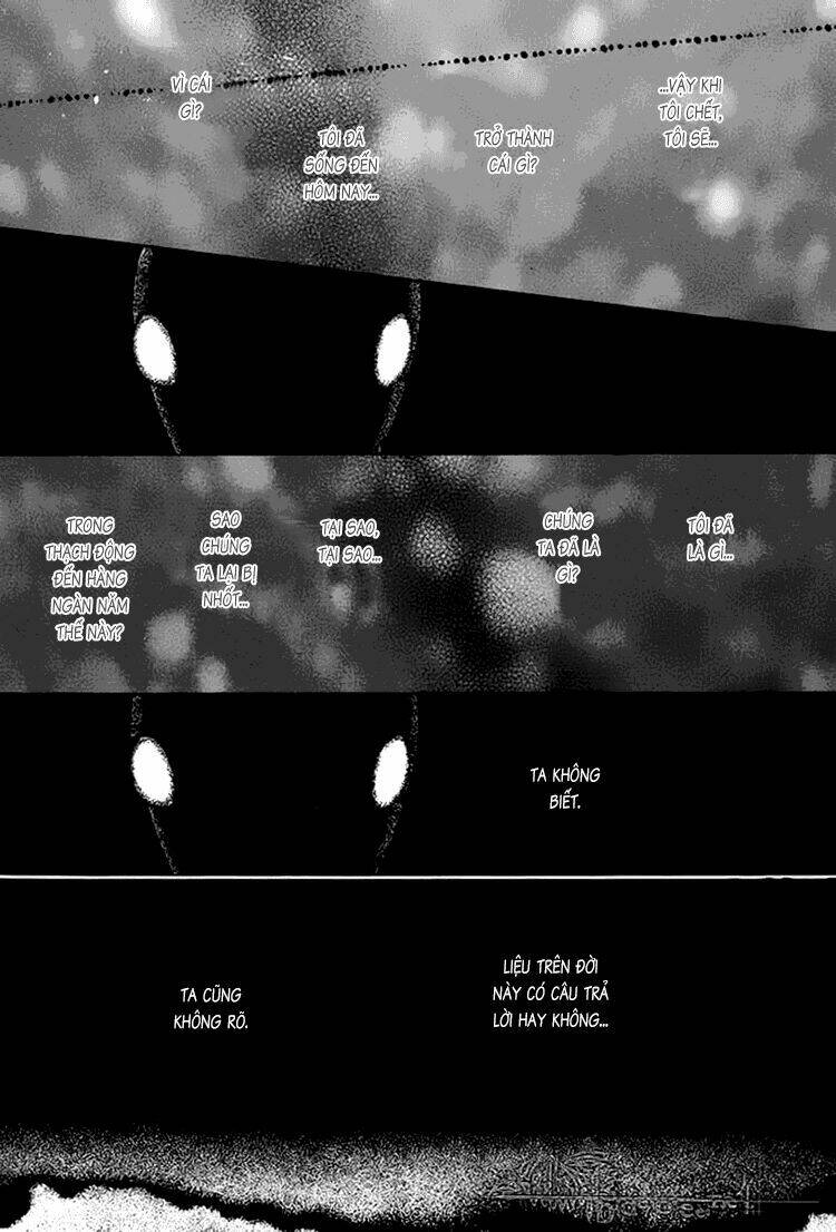 kim cương bạc chapter 22 9