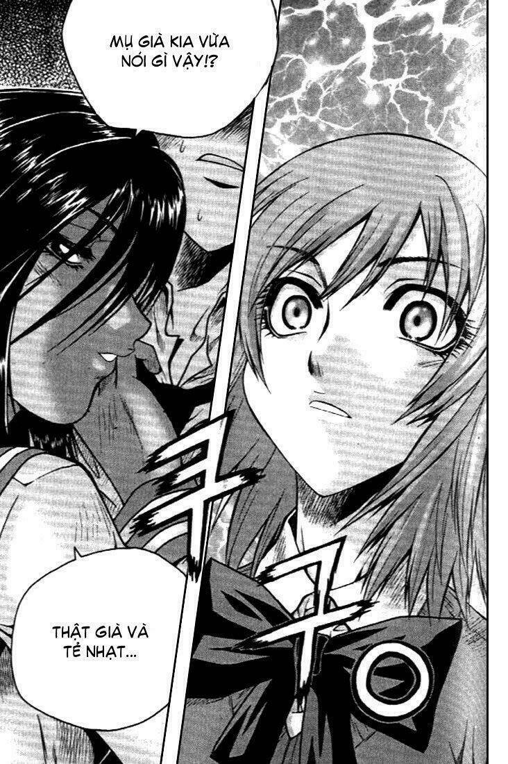 zippy ziggy chapter 25 4