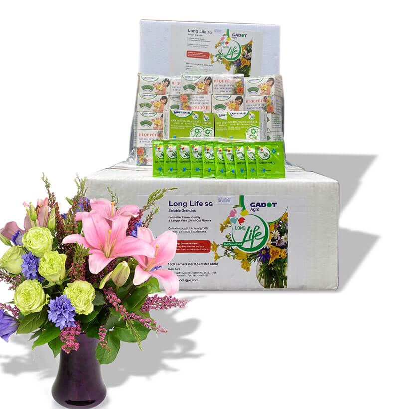 Giá Sỉ Thuốc dưỡng hoa Longlife Gói 5gr Hiệu LongLife Israel là bí quyết giúp hoa cắm bình lâu tàn và 14 ngày không thay nước mới tại vưa sỉ hoa