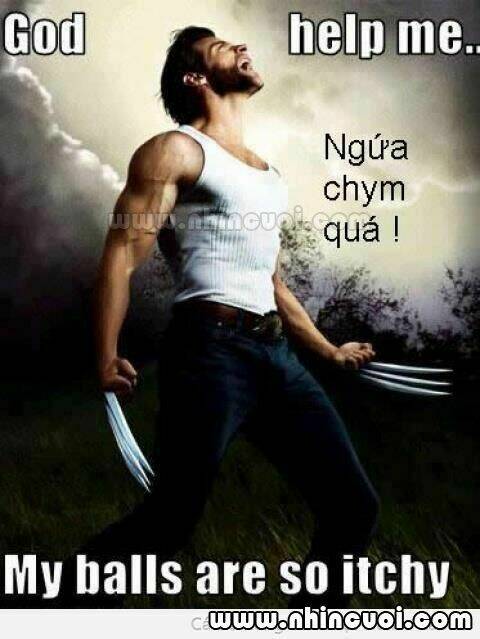 hình ảnh hài hước new chapter 14 25