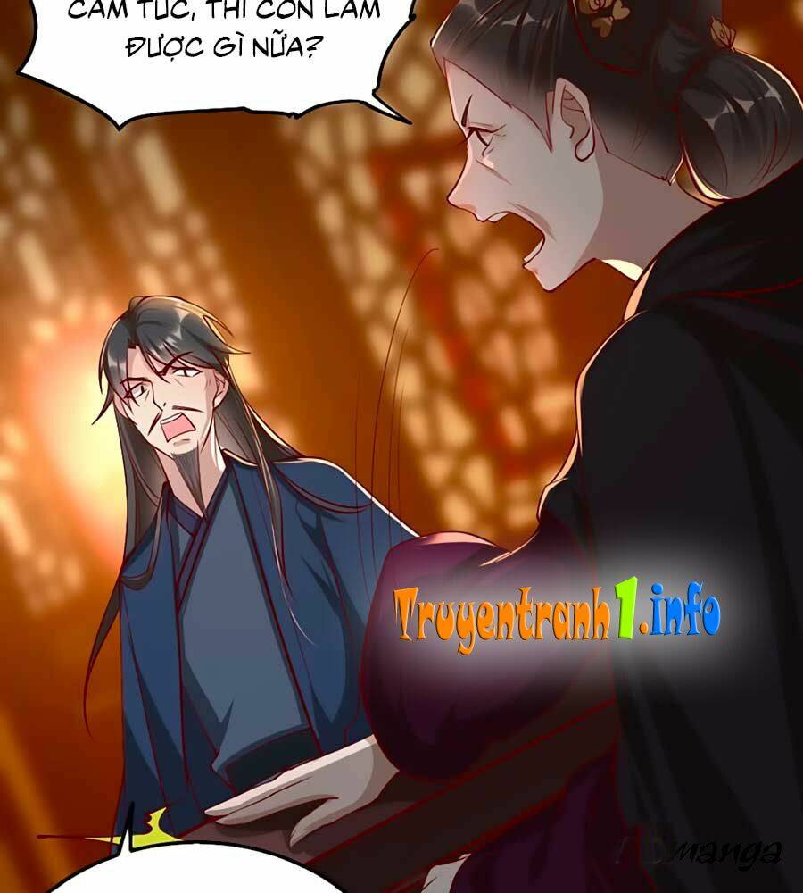 gian phi như thử đa kiều chapter 104 47