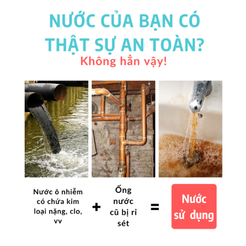 Màng lọc đầu vòi sen Daily Aqua - Lọc bụi bẩn, vi khuẩn