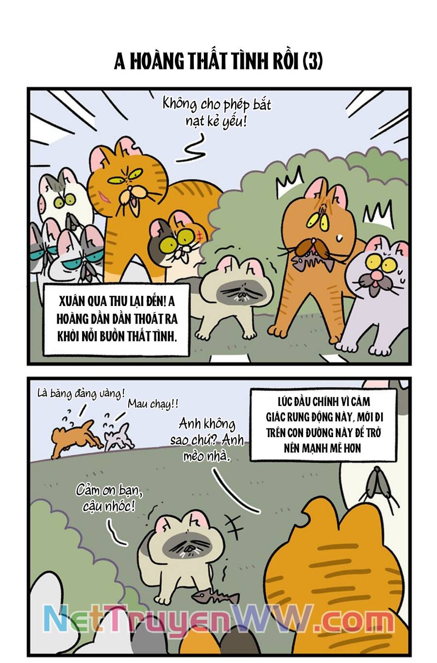 a mãn và mạch trà chapter 46.1 5