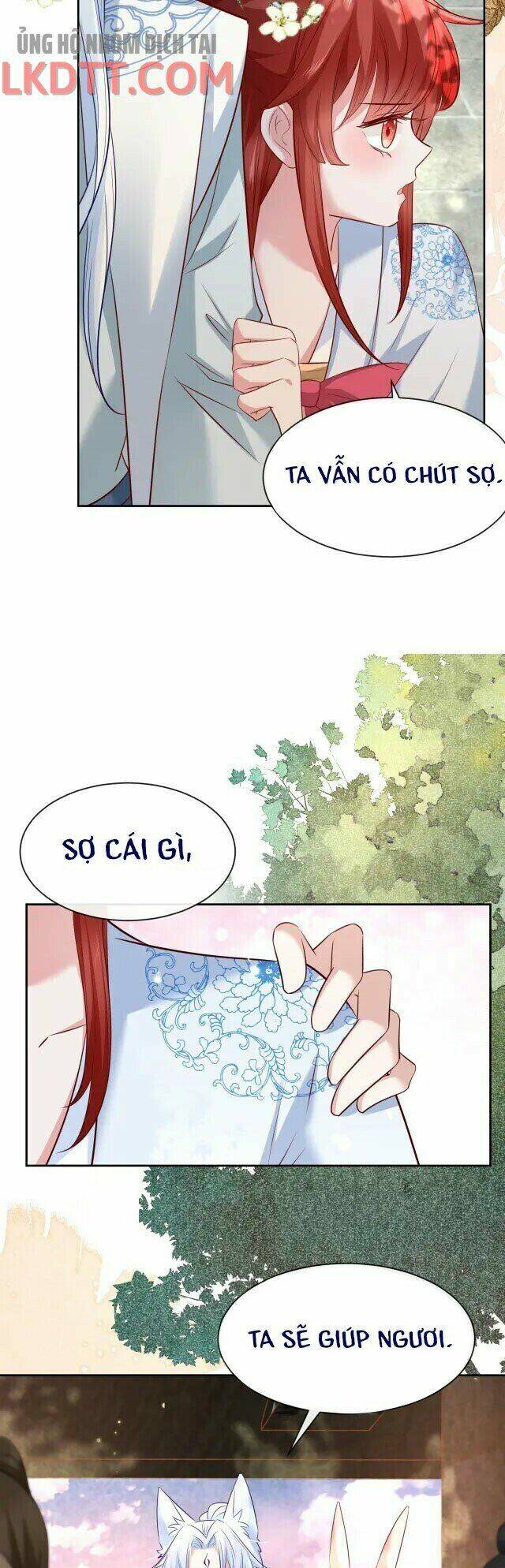 hắc hóa nam chính trực tuyến nuôi thỏ chapter 25 45