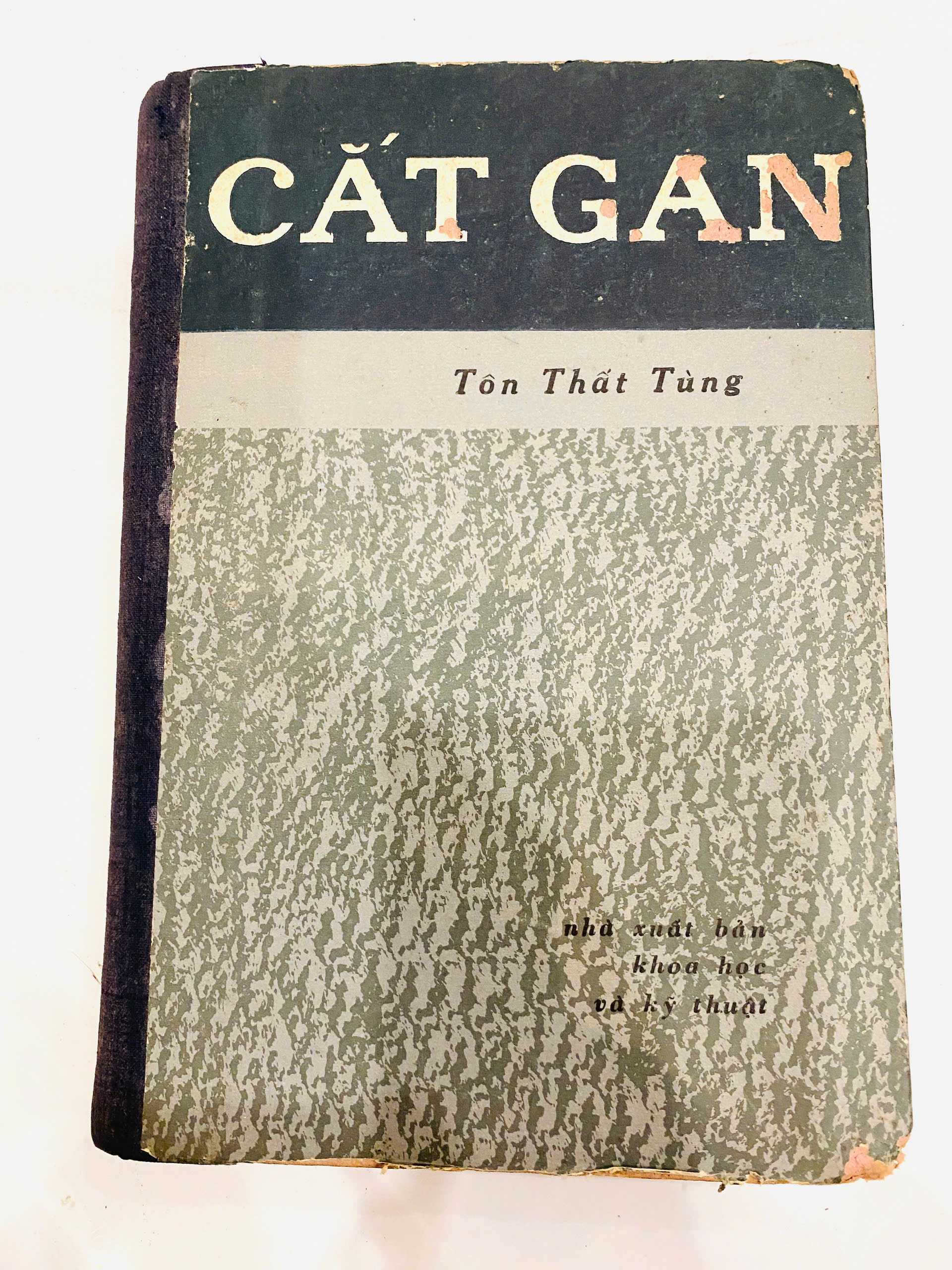 Cắt Gan