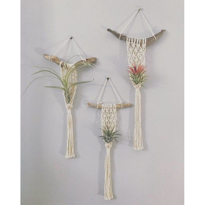 bộ 3 dây macrame treo cây không khí