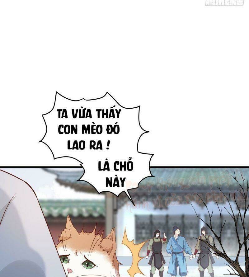 sát thủ vương phi không dễ chọc chapter 39 13