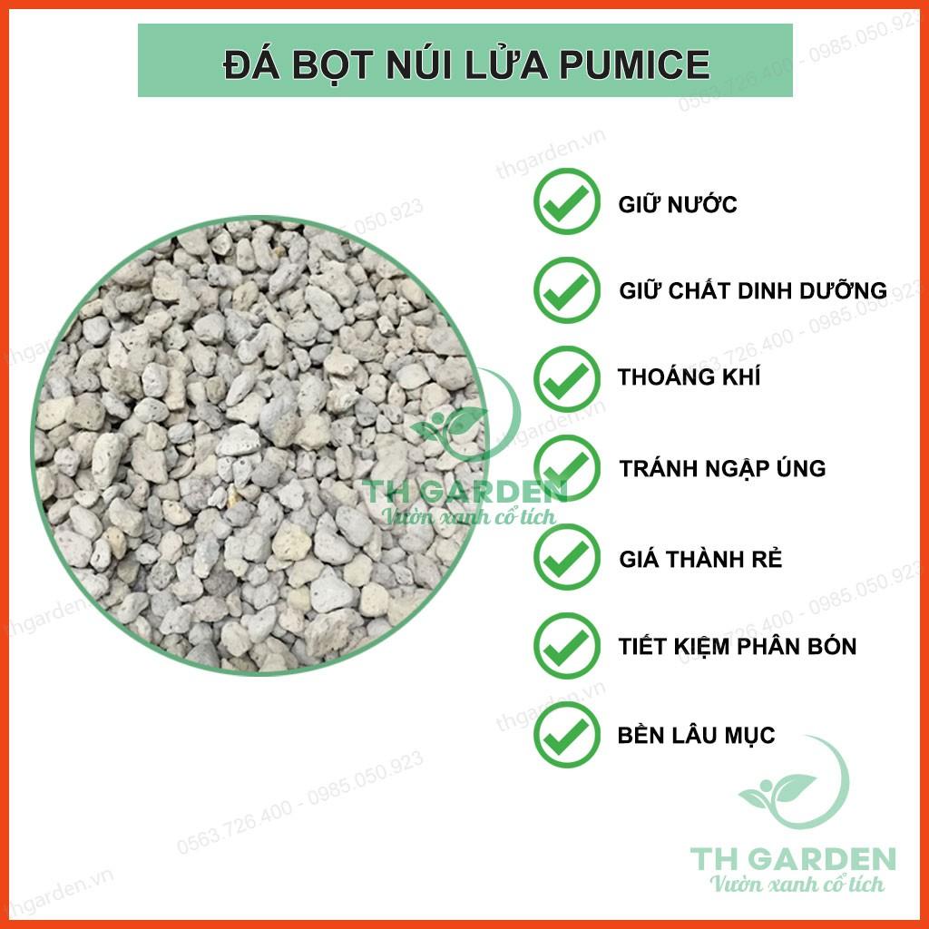 0.5kg Đá Bọt Trồng Lan Pumice TH Garden - Nhẹ Thoáng, Giữ Ẩm Tốt - Giá Thể Trồng Lan, Sen Đá, Cây Cảnh ...