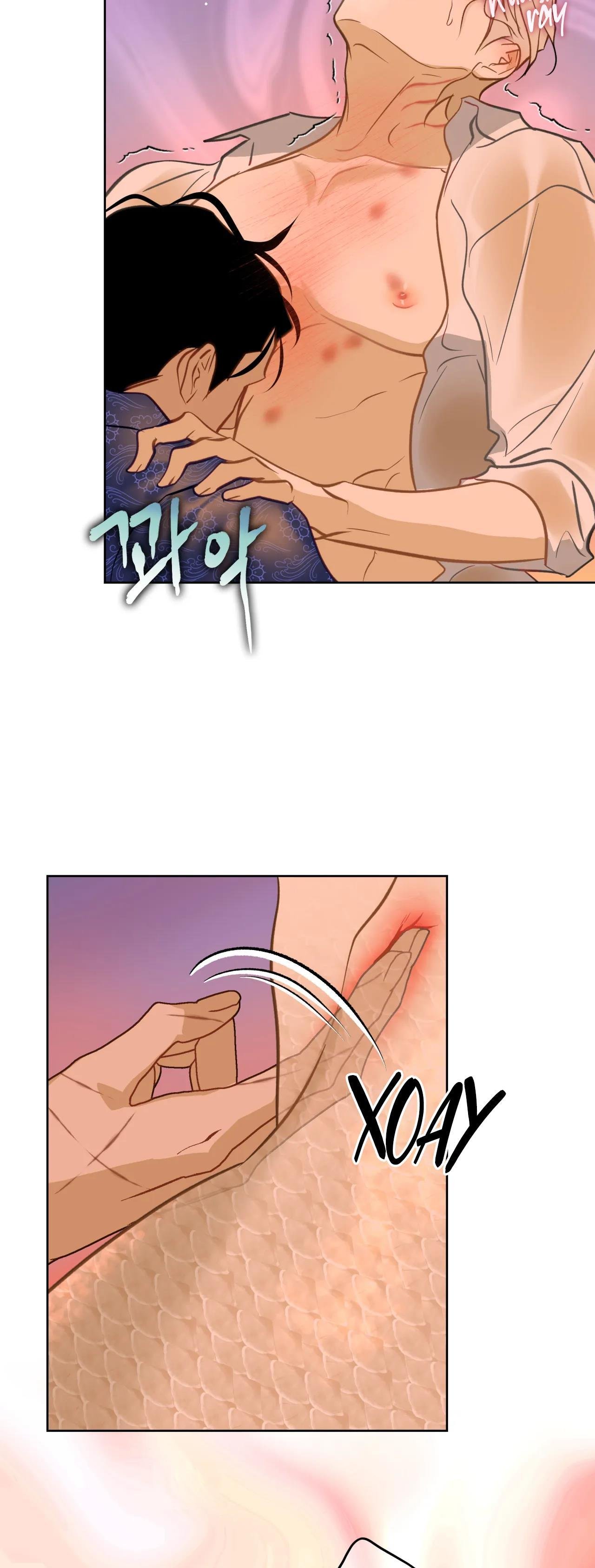 mỹ nhân ngư chapter 15 10