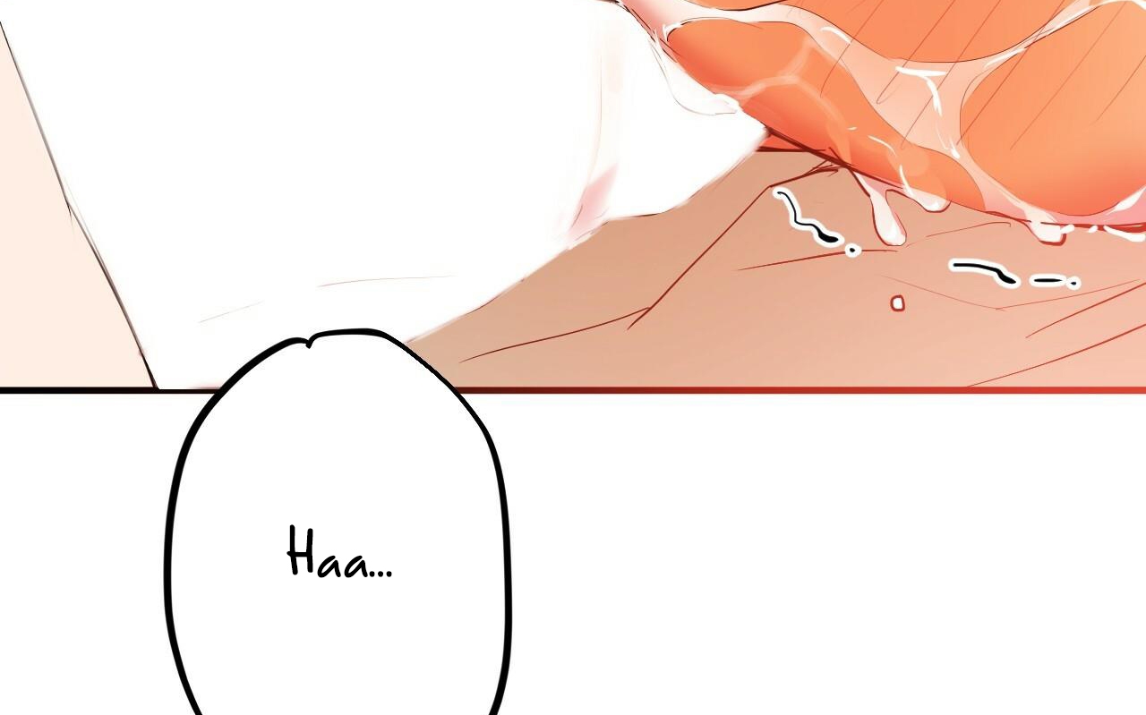 đàn thỏ của habibi chapter 38 197