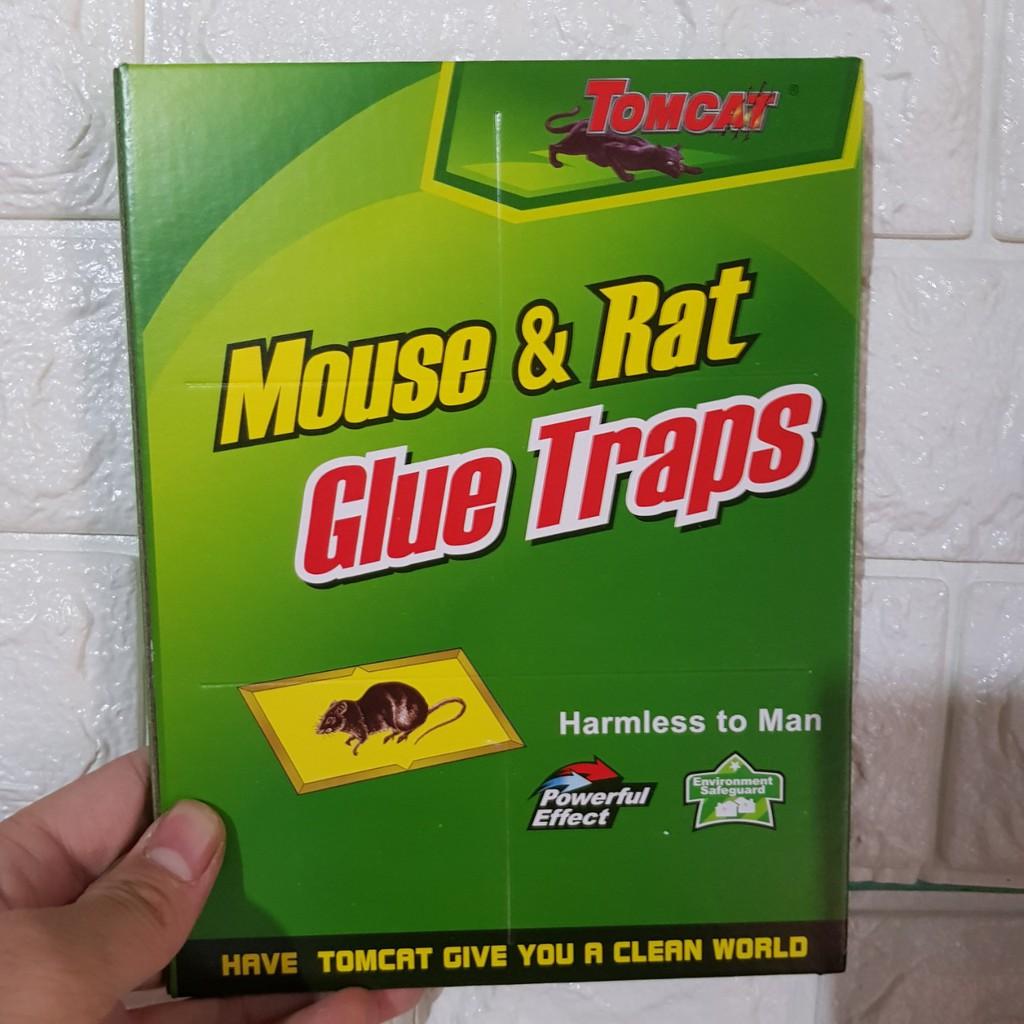 Keo dính chuột - keo bẫy chuột siêu dính có thể tái sử dụng