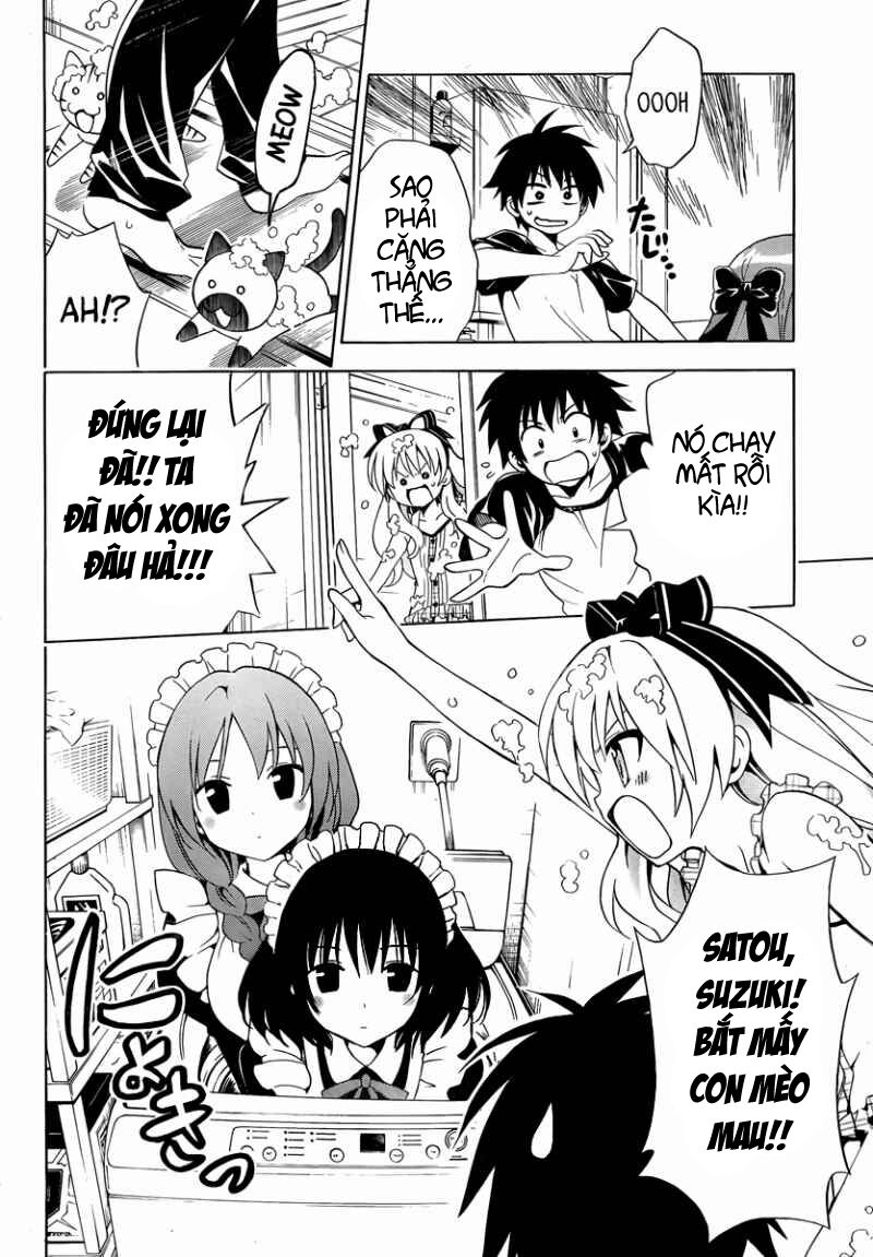 mayoi neko overrun! chapter 7 11