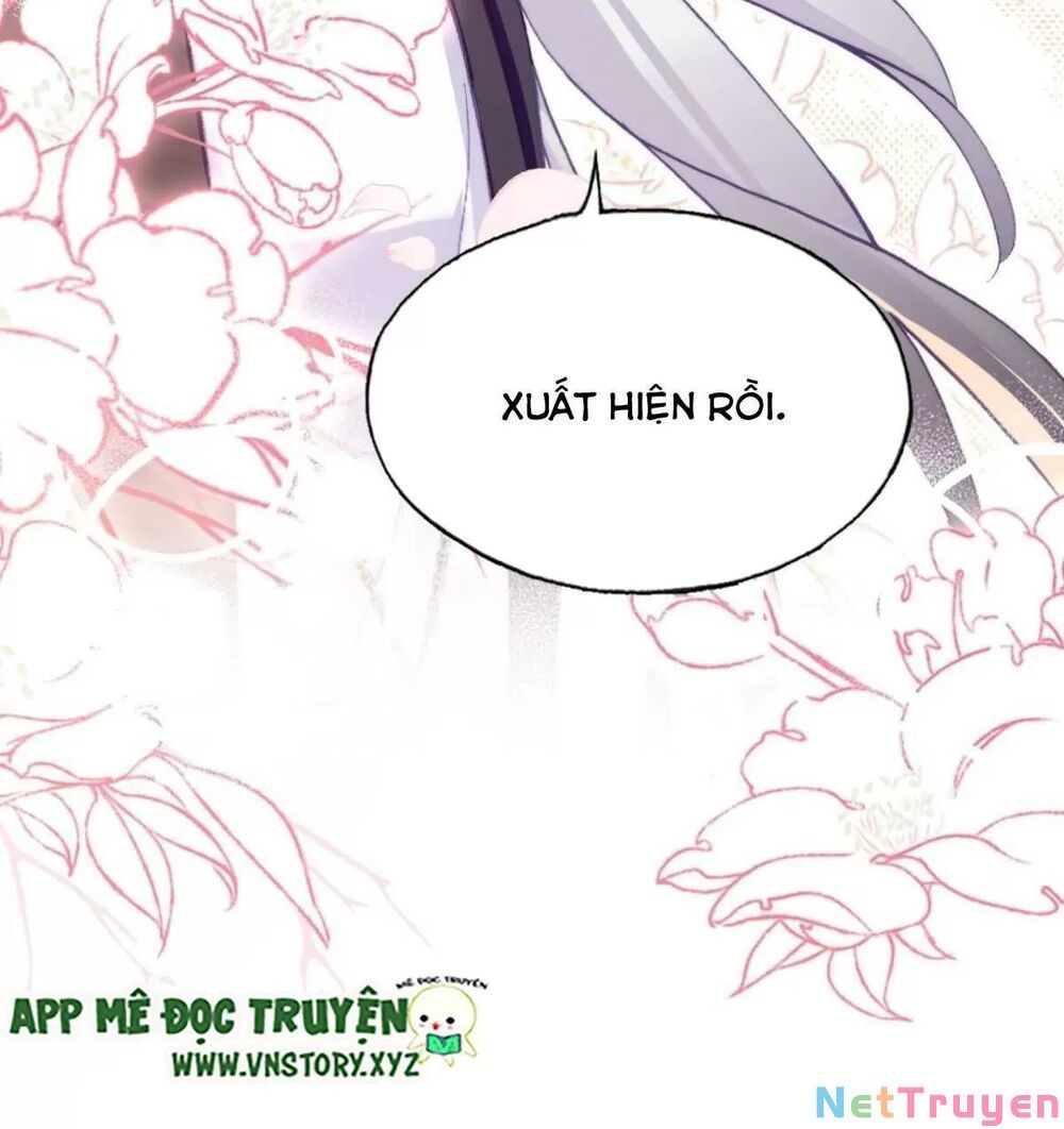 lại bị bệnh chiều chuộng quấn lấy chapter 64 43