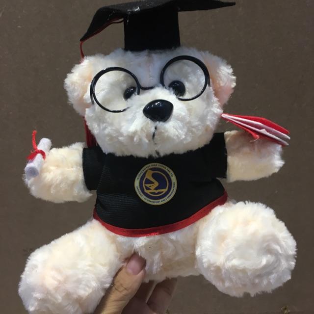 Gấu bông tốt nghiệp 20cm giá rẻ