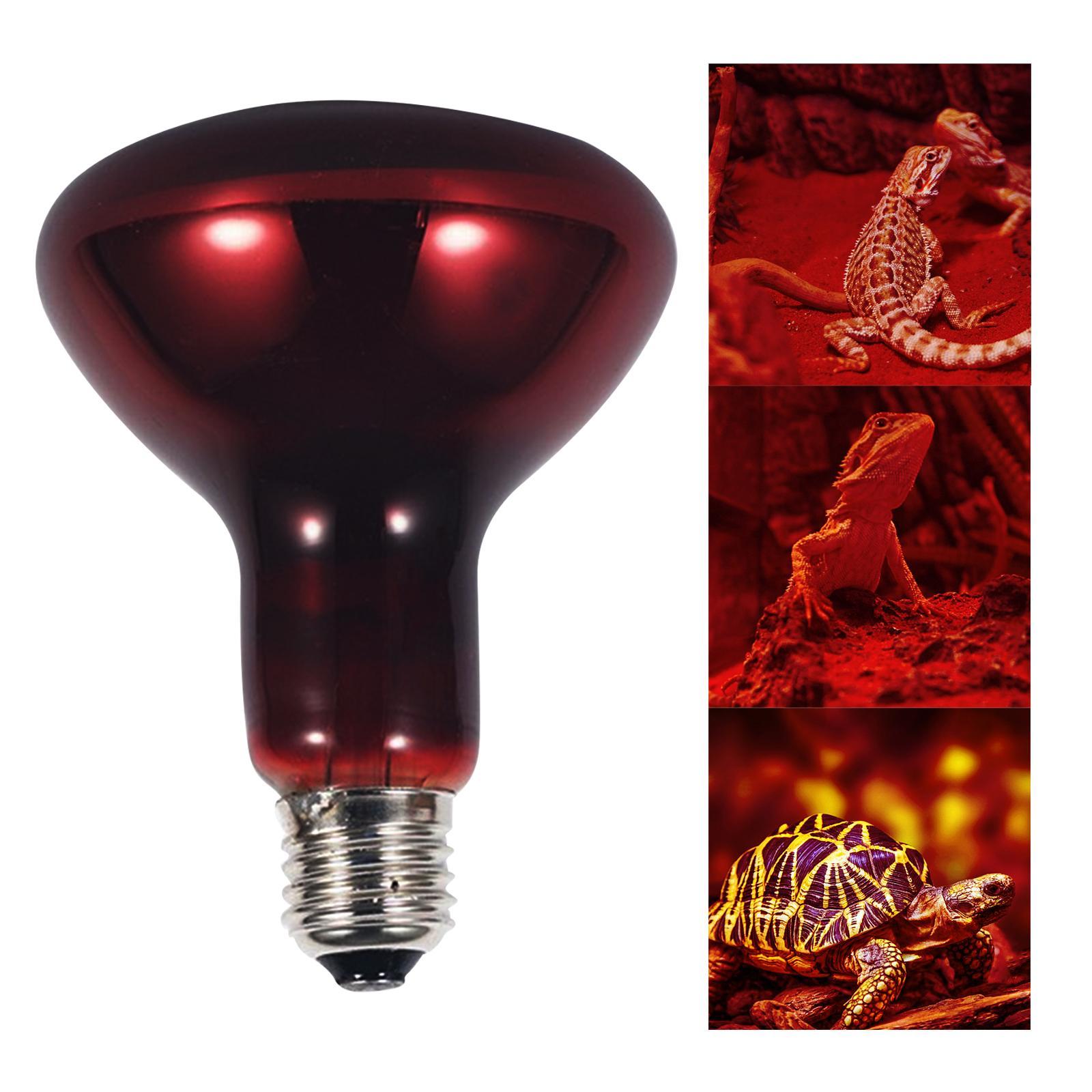 E27 Reptile Light Bulb Heating Lamp Hedgehogs Pet Supplies 100W Warm