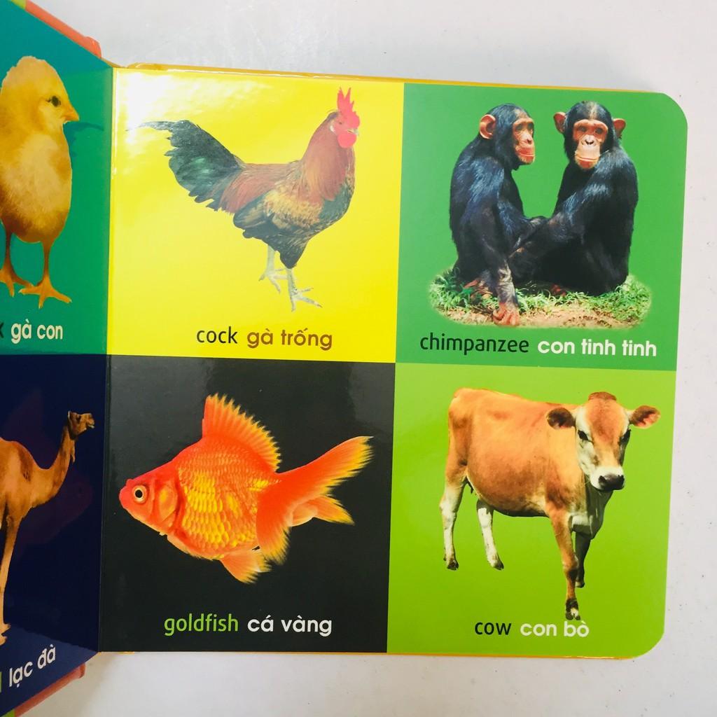 Sách – 101 First Words 101 Từ Đầu Tiên  - Thực vật - Động vật - Giao thông - Đồ dùng thân thiết - Bảng chữ cái - Hình dạng màu sắc