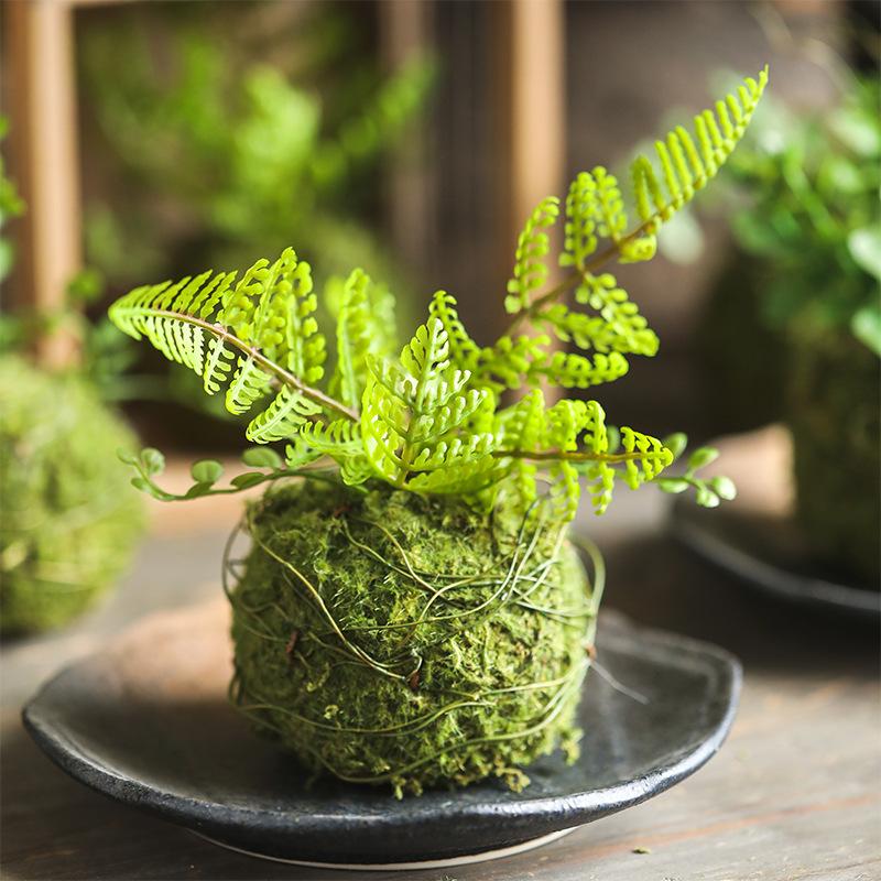 Mô phỏng cỏ rêu bóng trang trí cảnh quan mô phỏng cây xanh nhà