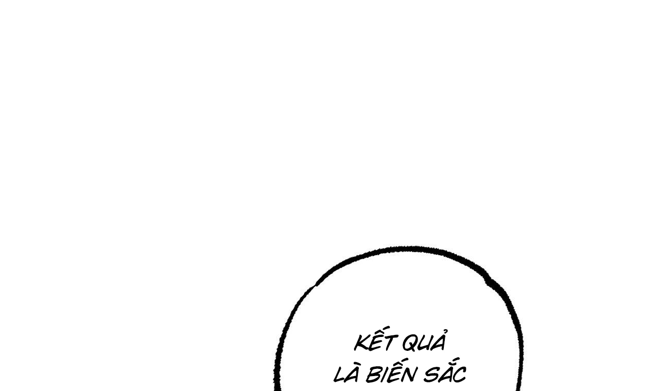 những chú thỏ của hapypy chapter 56 104