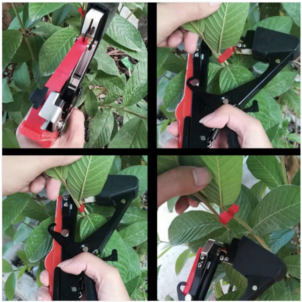 Máy Buộc Cành làm vườn cầm tay BRANCH ARTIACT