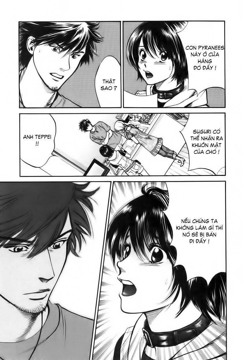 cô nàng yêu chó chapter 28 7