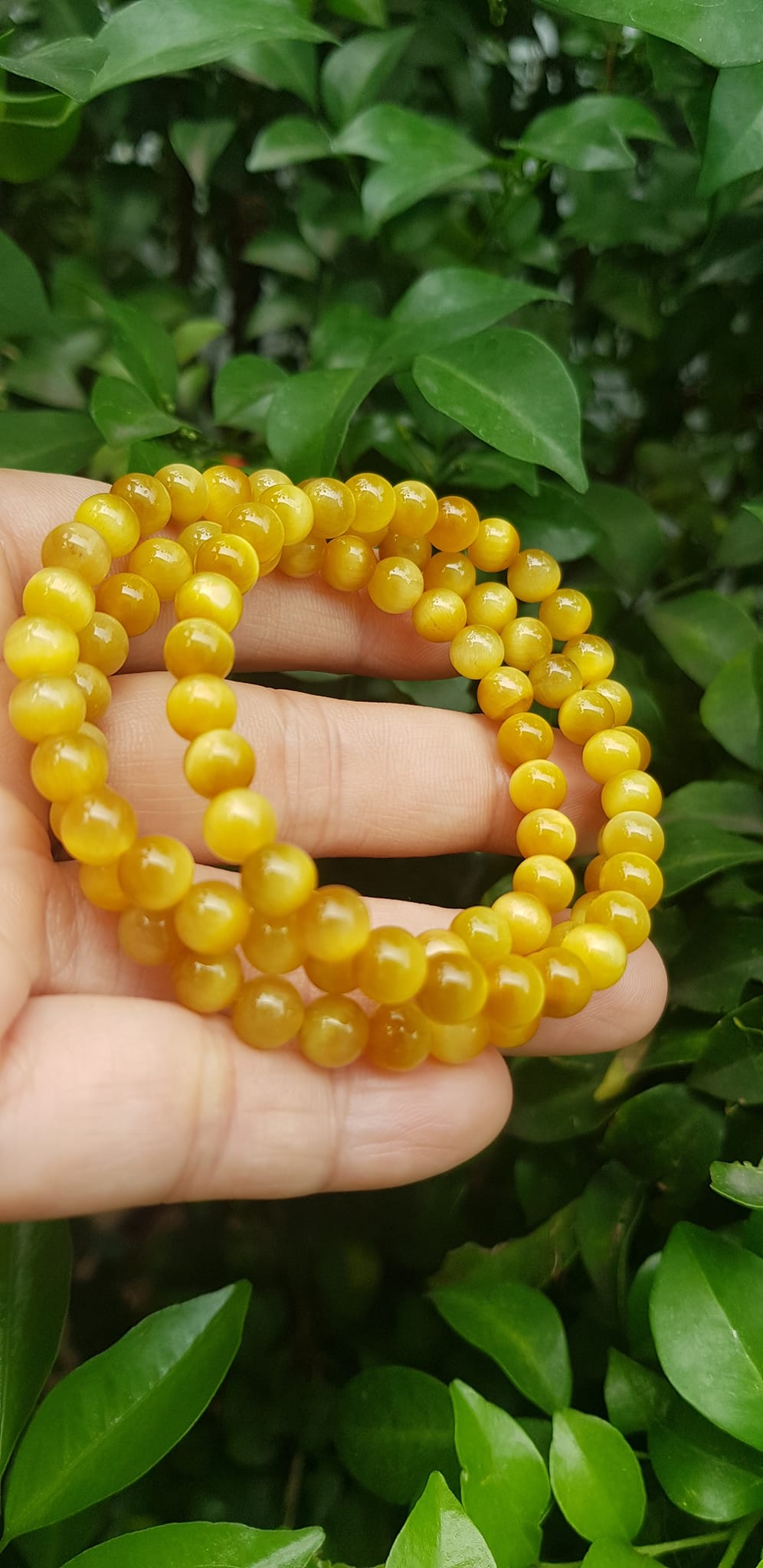 Vòng tay nữ đá mắt hổ tự nhiên vàng anh vip 6mm quấn tay 3 vòng đẹp vòng màu vàng anh tươi đẹp hợp nữ mệnh kim mệnh thổ mệnh thuỷ đeo tay may mắn xinh đẹp sang tay ạ