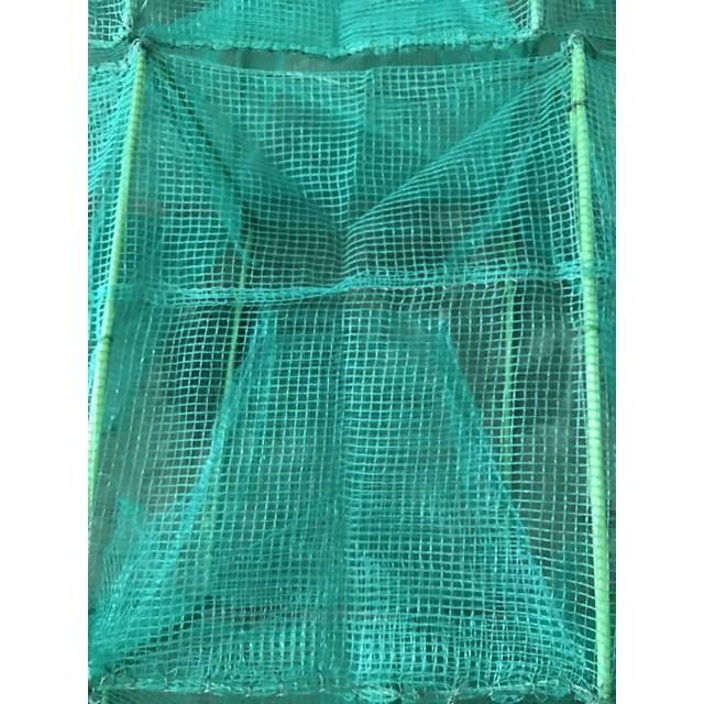 Lồng Bát Quái 15-19-21-24-29