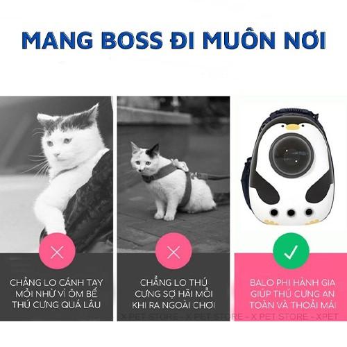 Balo thú cưng 10kg chó mèo giá rẻ địu lưng, Balo vận chuyển chó mèo đeo lưng trong suốt thời trang