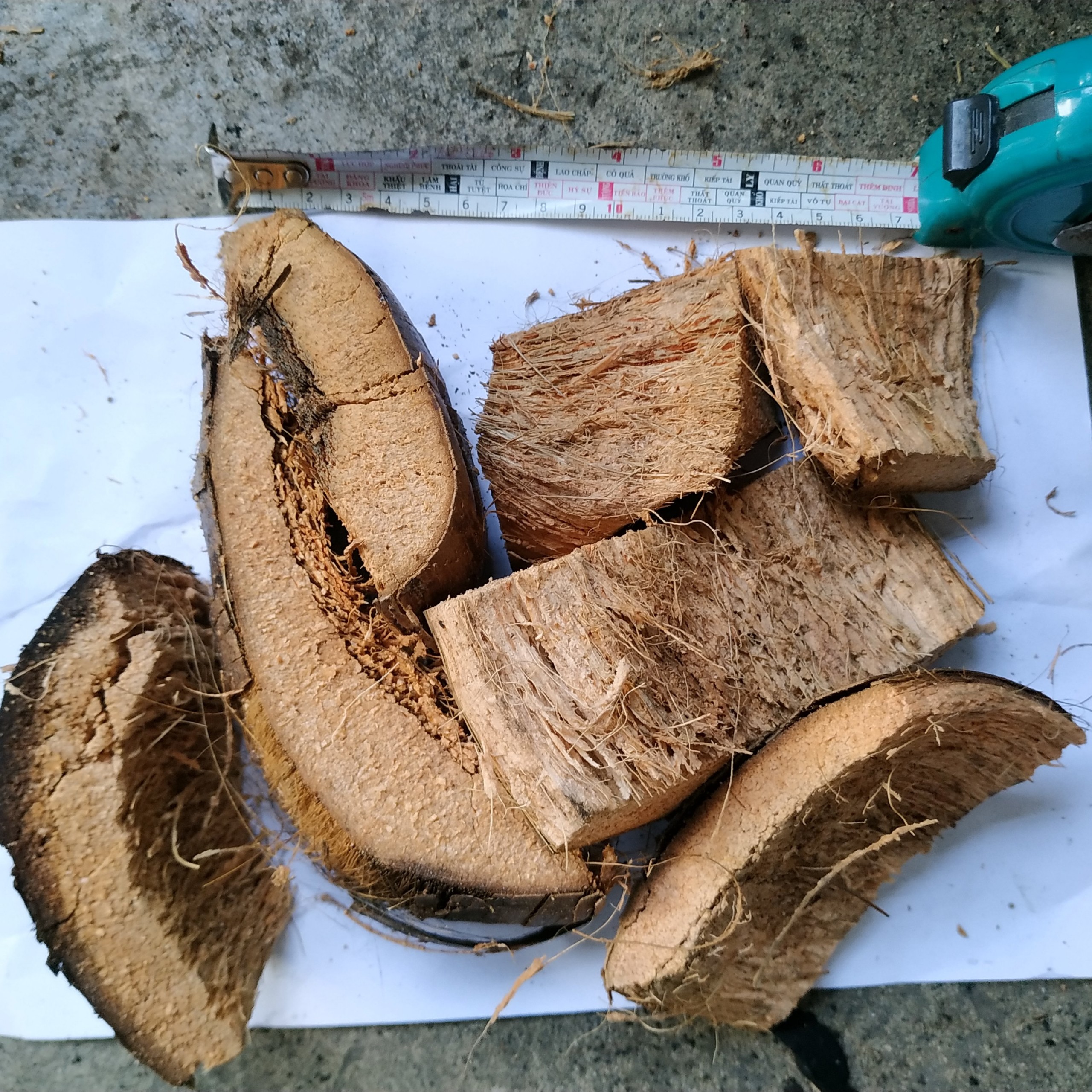 Túi 6.5 lít - Giá Thể Vỏ  Dừa - Xơ Dừa Trồng Lan Đã Xử Lý Mềm Xốp - THÍCH HỢP TRỒNG LAN - DENRO - MOKARA