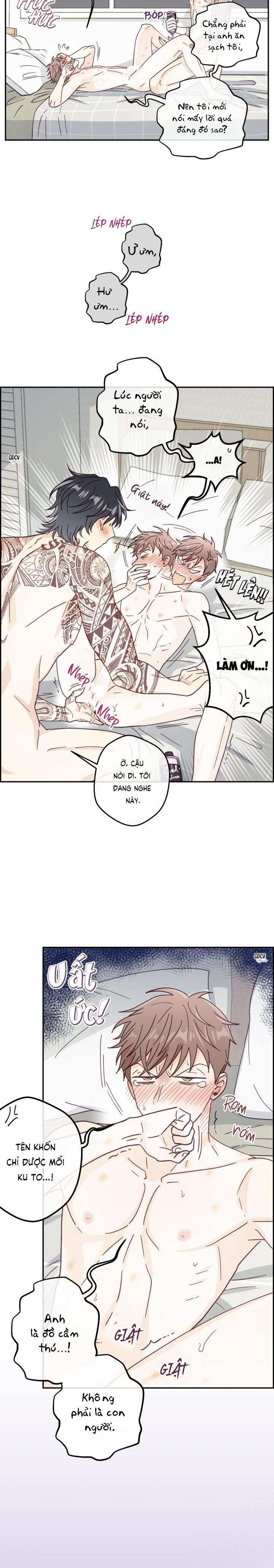 bạn trai vô song của tôi chapter 10 15