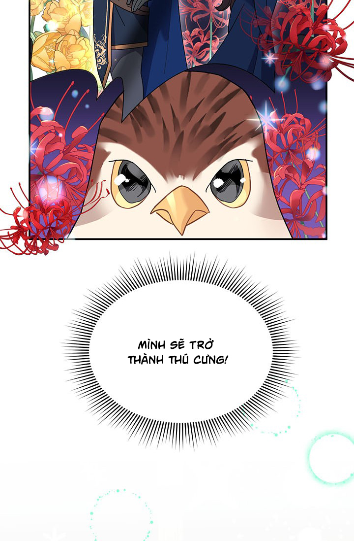 công chúa của loài chim chapter 20 31