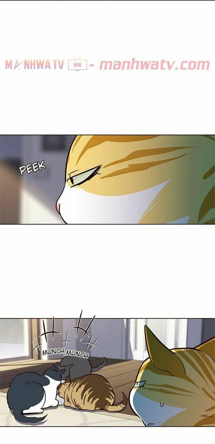 biến thân thành mèo chapter 17 38
