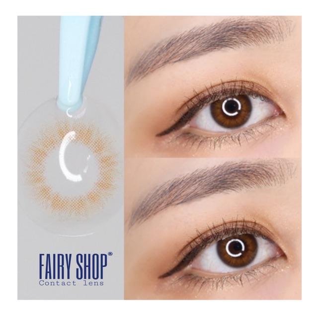 Áp tròng Spanish Brown 14.0mm - Kính Áp Tròng FAIRY SHOP CONTACT LENS độ cận 0 đến 8