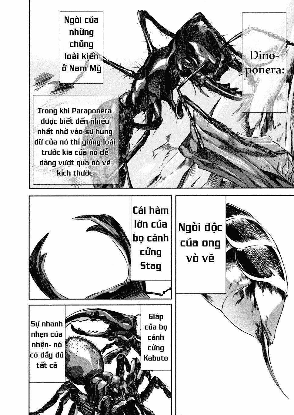 arachnid chapter 36 23