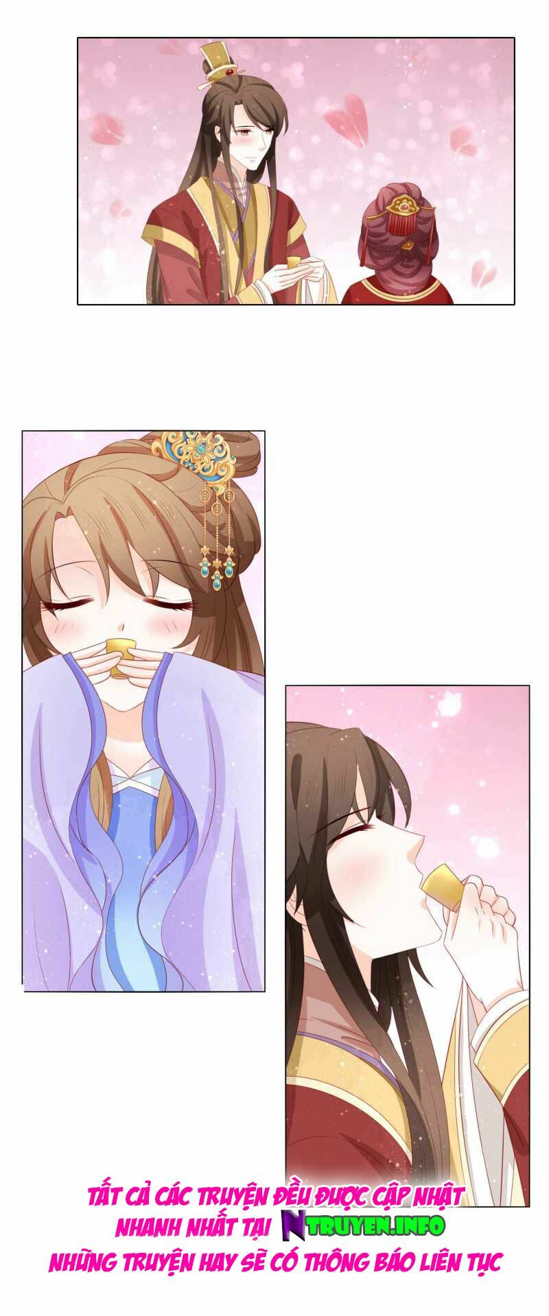 nam phi nữ tướng chapter 56 16