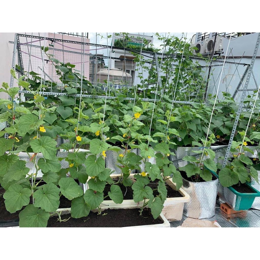 Dầu khoáng phòng ngừa sâu bệnh - Chai 500ml