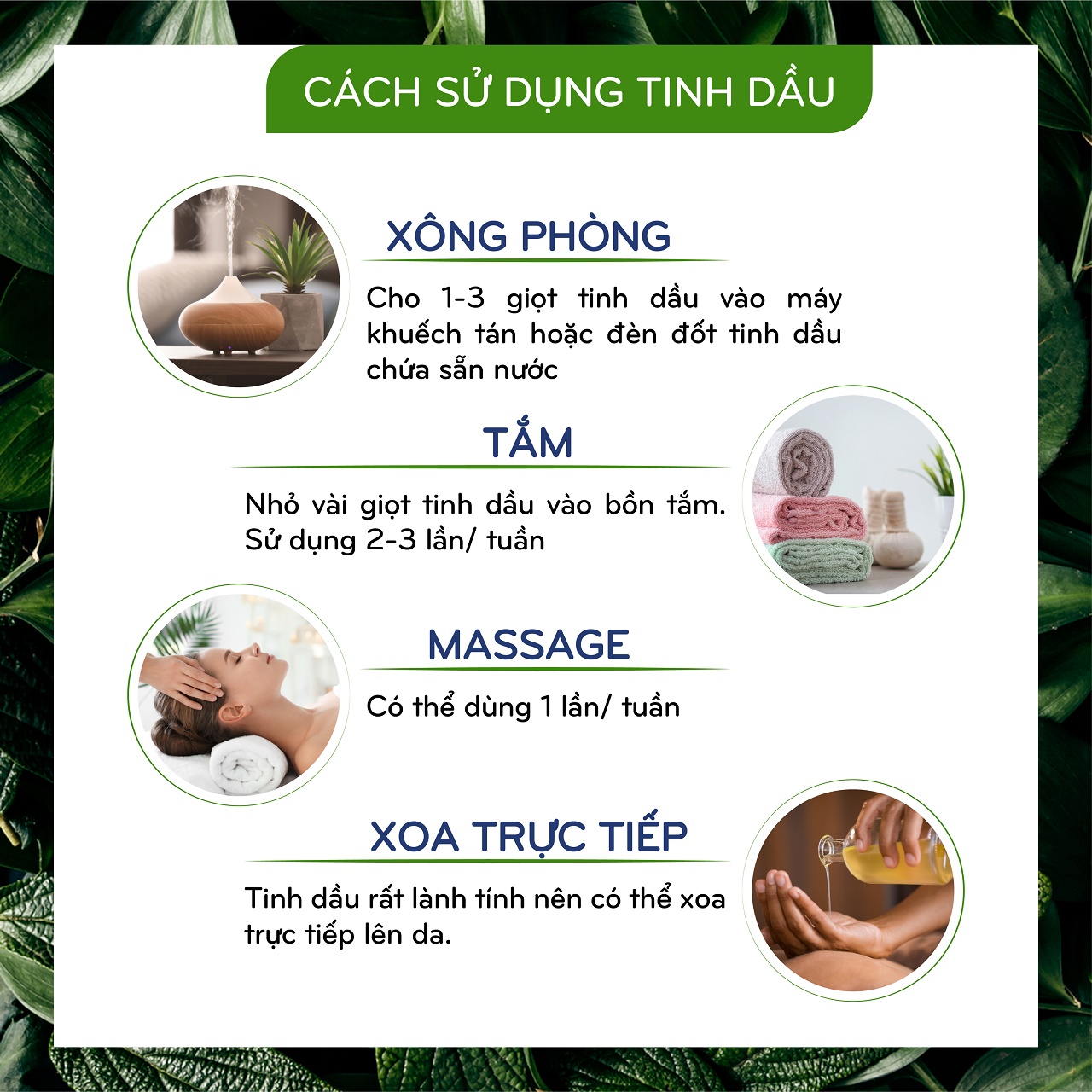 Tinh Dầu hoa Nhài EcoCare 10ml - Vùng nguyên liệu và kiểm nghiệm đạt chuẩn Đức - Tặng nến TeaLight