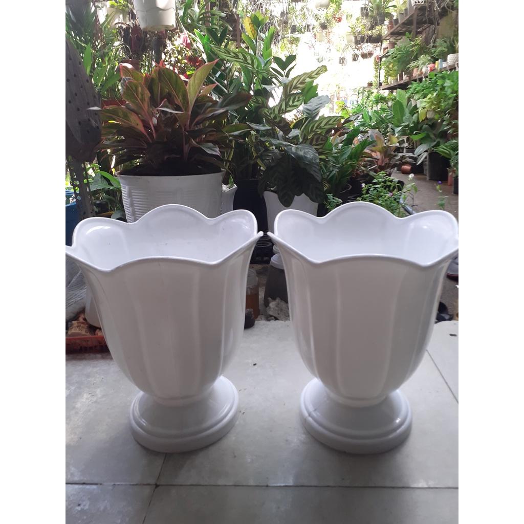 Combo 2 chậu nhựa chân đế hình hoa loa kèn