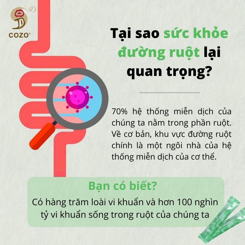 Bột Hỗ Trợ Kiểm Soát Cân Nặng, Phân Hủy Chất Béo Cozo Slim Sleek, Chống Phản Ứng Đường Hóa, Giúp Cơ Thể Thải Độc, Da Đẹp Dáng Xinh