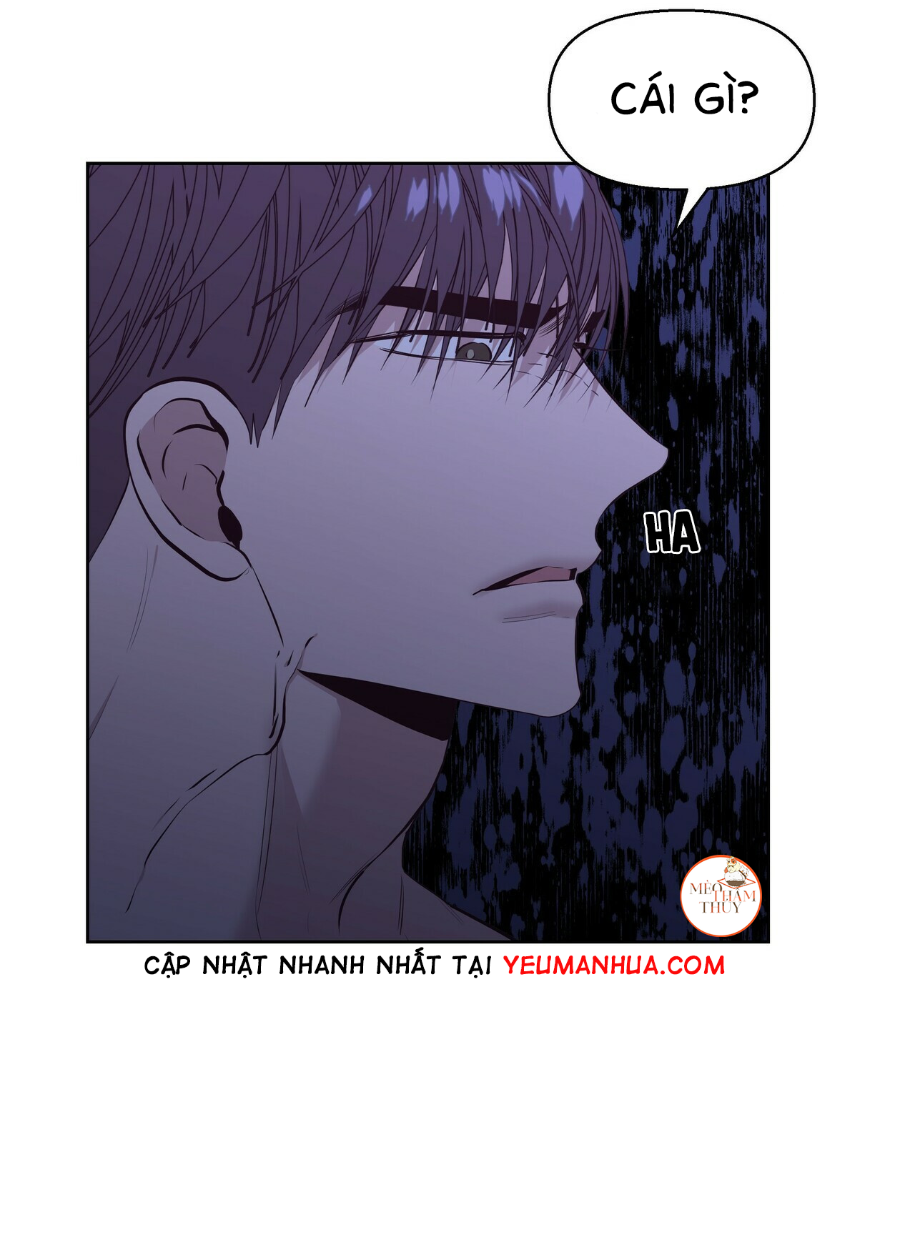 hội chứng chapter 14 14