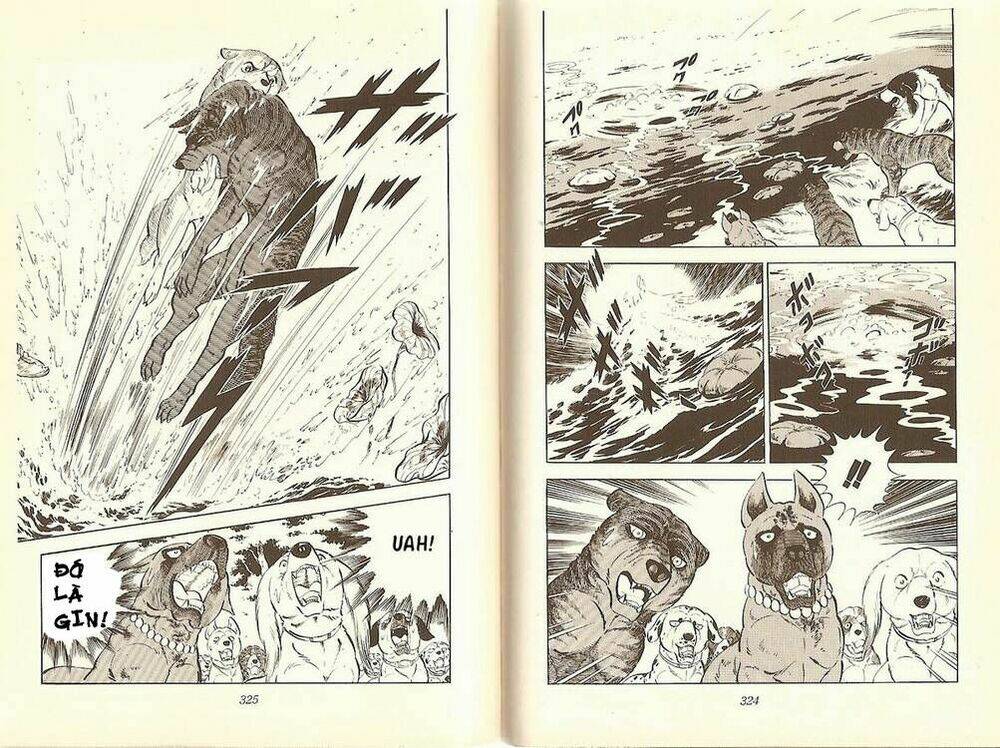 chú chó có nghĩa - ginga nagareboshi gin chapter 12 29