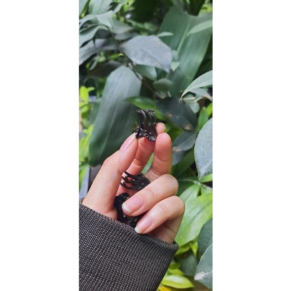 100 kẹp hoa lan bé hình bướm