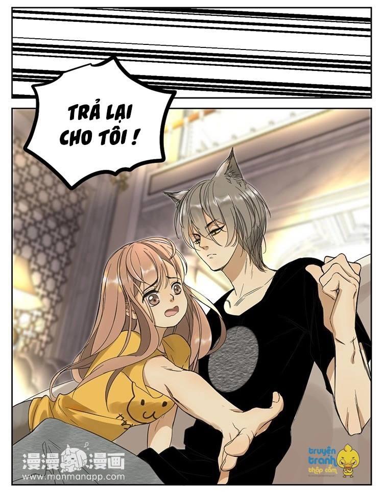 cứu mạng ! loài mèo thống trị thế giới rồi ! chapter 11 6