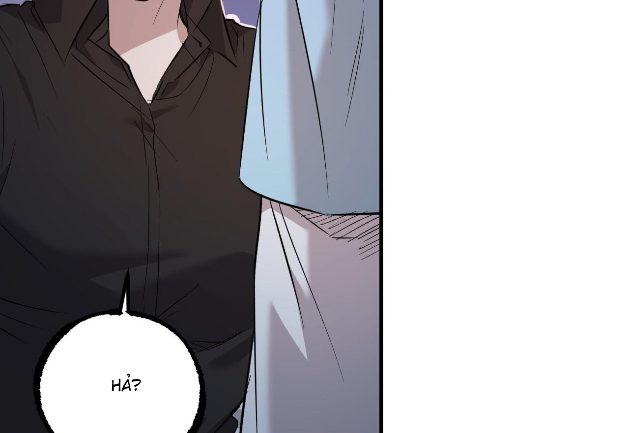 những chú thỏ của hapypy chapter 59 237