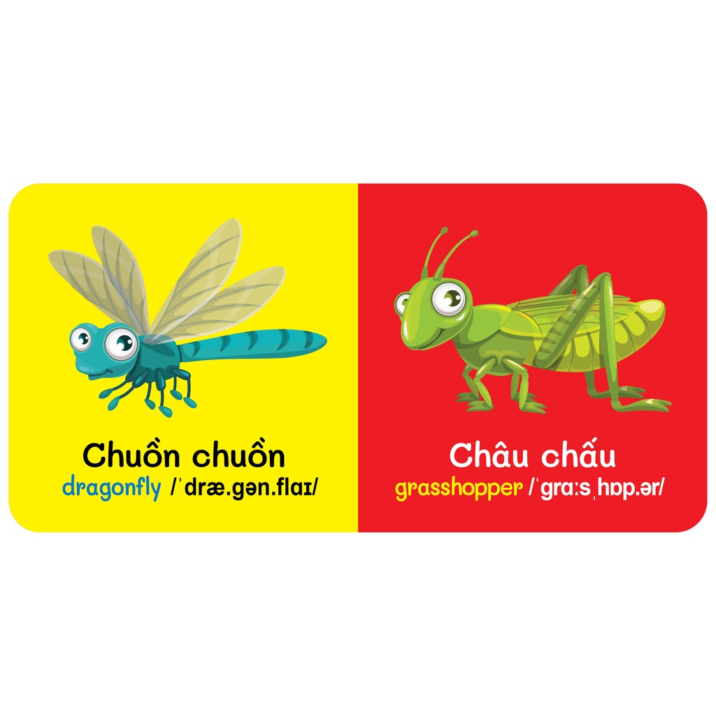 Sách - combo 9 Quyển Từ Điển Bằng Hình Đầu Tiên Của Bé Từ 0-6 tuổi - Song Ngữ Anh- Việt