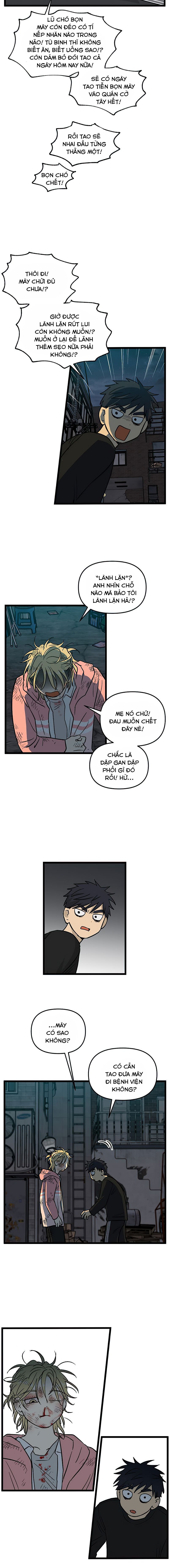 no home - không nhà chapter 155 3