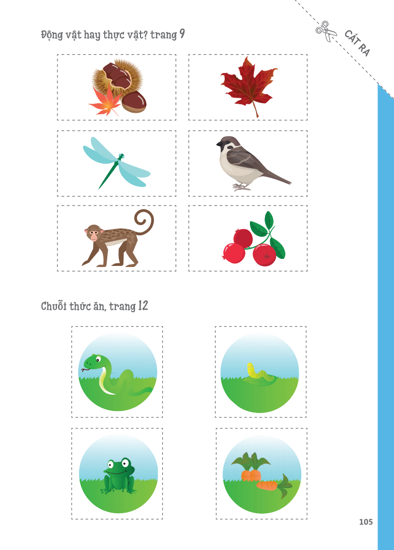 Cuốn Sổ Lớn Montessori - Về Khám Phá Thế Giới