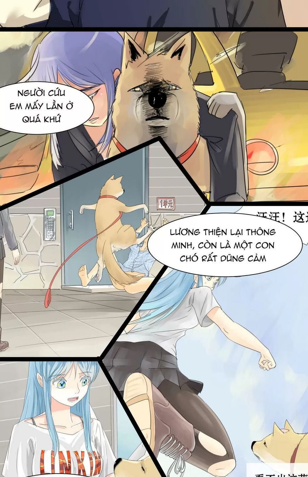 một con chó chapter 65 11