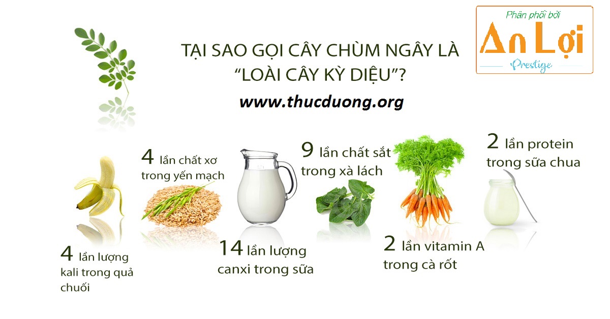 LÔ 5 gói BÚN CHÙM NGÂY (250g X 5)