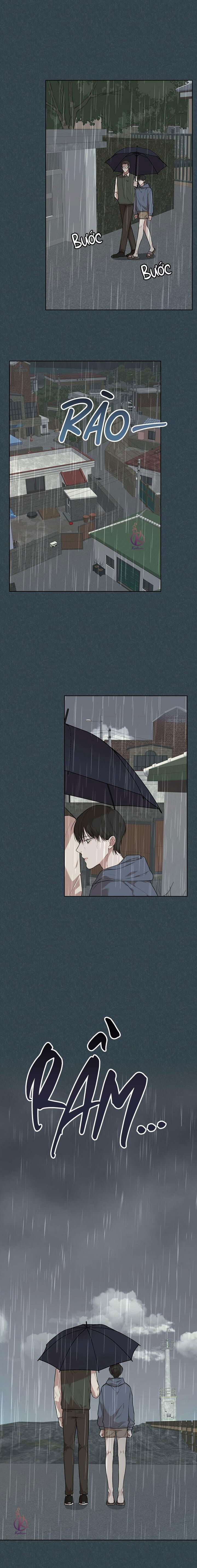 hình thái khởi sinh chapter 53 2